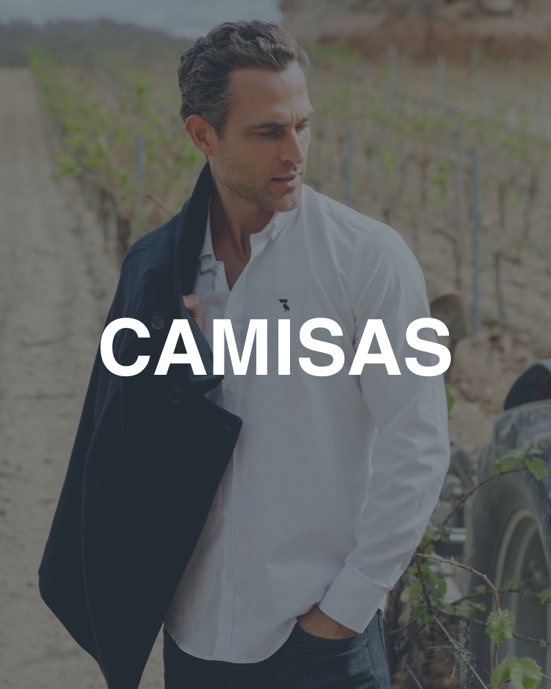 Camisas