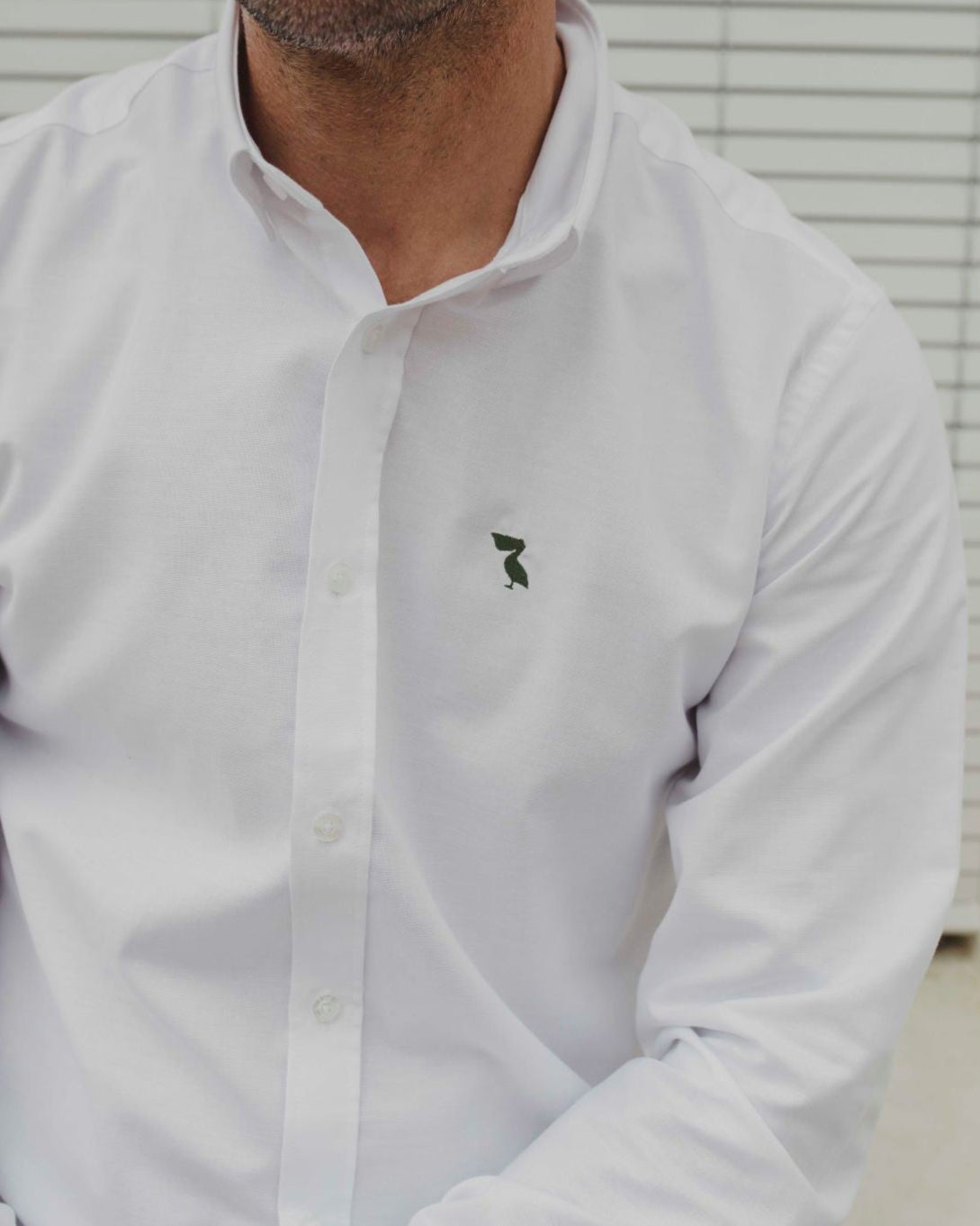 CAMISA BLANCA PELÍCANO CAQUI
