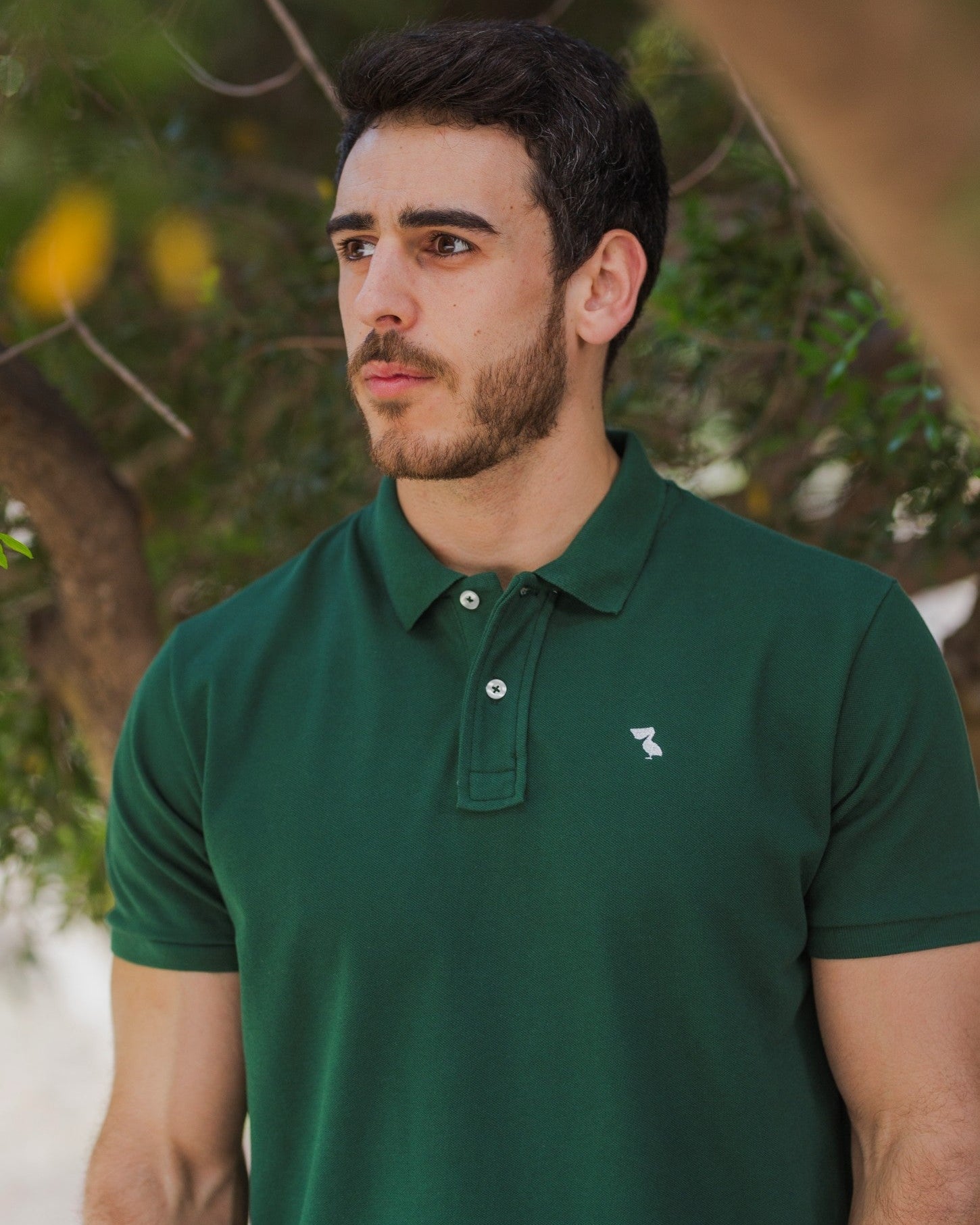 POLO CLASSIC VERDE