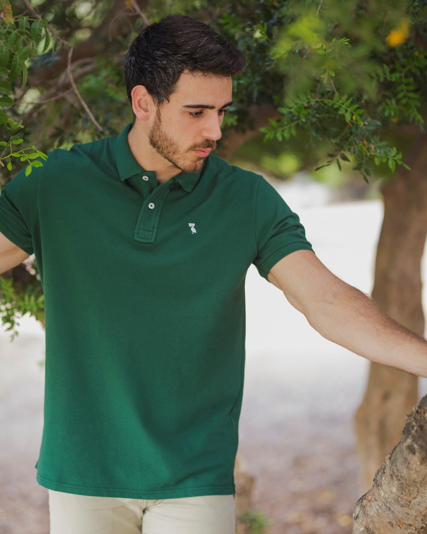 POLO CLASSIC VERDE